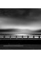 "Ligne"