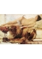 "In the mood for Alma Tadema"