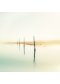 "Contre jour"
