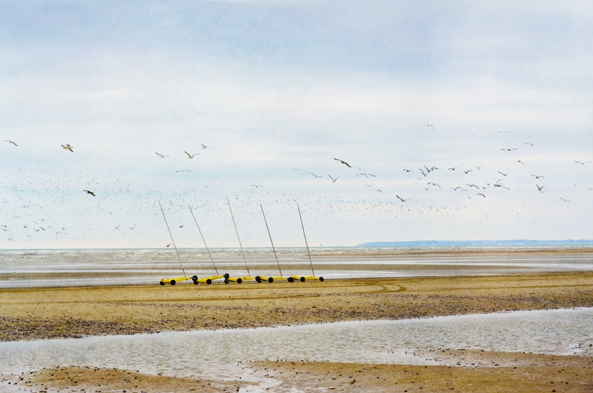 "Au son des battements d'ailes"