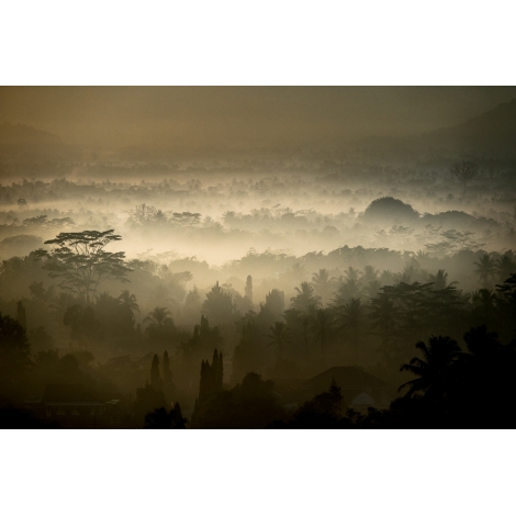 "Borobudur jungle 1"