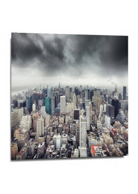 "Urban jungle"