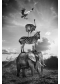 "Hakuna Matata 06 "