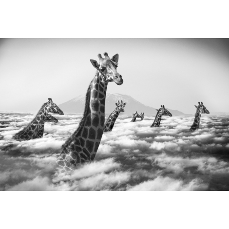 "Hakuna Matata 10"