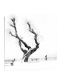 "Tree view"