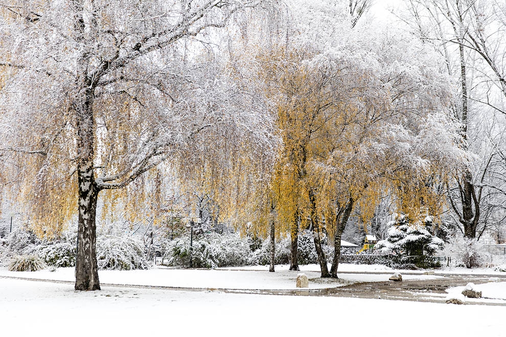 "Snow storm red"