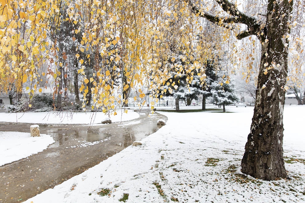 "Flocons d'automne"