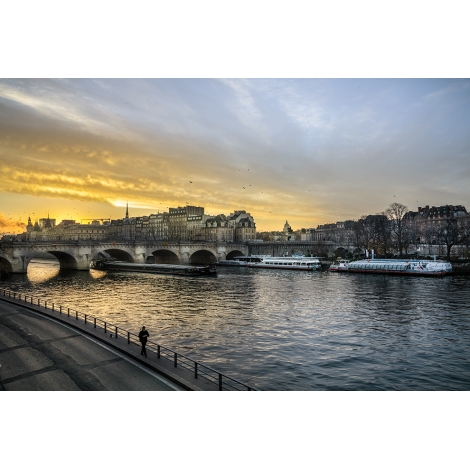 "Le solitaire du Pont Neuf"