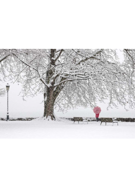 "Cerise"