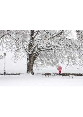 "Cerise"