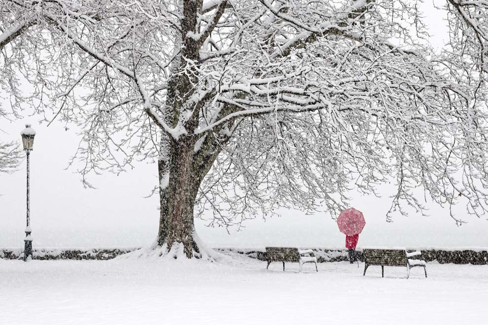 "Cerise"
