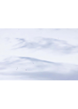 "Illusion"