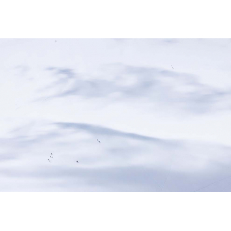 "Illusion"