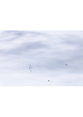 "Rêve blanc"