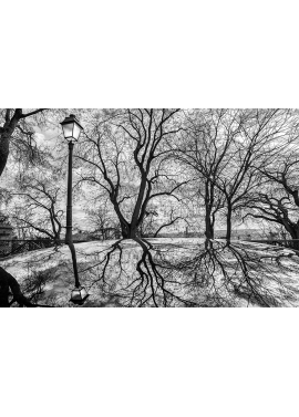 "Le reflet du lampadaire"