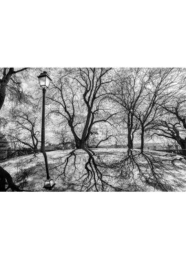 "Le reflet du lampadaire"