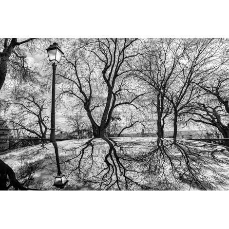 "Le reflet du lampadaire"