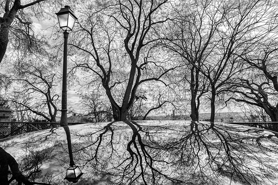 "Le reflet du lampadaire"