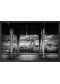 "Escaliers Montmartrois"